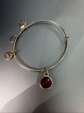 Alex and Ani Silver-Tone Adjustable Bangle with Deep Red Crystal Charm